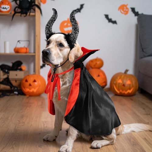 2 Pcs Dog Halloween Costume Set Cat Witch Vampire Cape Devil Horns Hat Holiday Clothes for Cat Puppy Halloween Party Pet Outfits (Red) XL - Image 7
