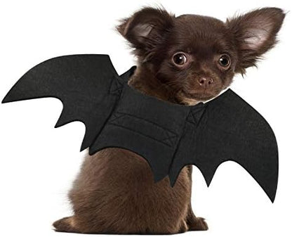 Rypet Cat Bat Costume XS, Cat Bat Wings, Dog Bat Costume Halloween Cosplay by RYPET