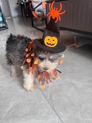 Elegant little tail 1PCS Dog Halloween Costume - Dog Cat Pumpkin Tutu Collars with Halloween Pumpkin Patterns Pet Tutu Collar Suit Halloween Costume for Cats Small Medium Dogs - Image 5