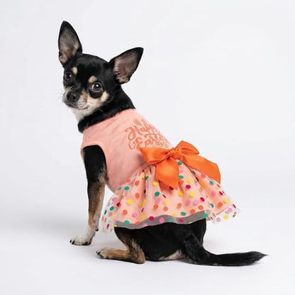 Fitwarm Happy Easter Day Dog Dress 100% Cotton Girl Dog Clothes Easter Bunny Dogs Dresses Pet Apparel Doggie Tutu with Bowknot Cat Clothing Puppy Dresses Doggy Costume Attire Orange XX-Small - Image 4