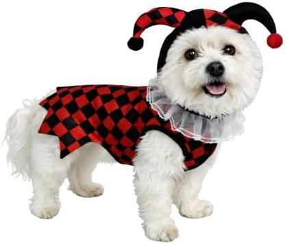 Court Jester Pet Halloween Costume with Hood - Small to Medium-Large Breed Funny Clothes Outfit Apparel (Medium) - Image 5