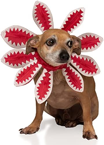 ComfyCamper Red Flower Dog Costume - X Large Medium Small French Lab Retriever Shepherd Pet Cosplay Halloween Costumes (Small) - Image 3