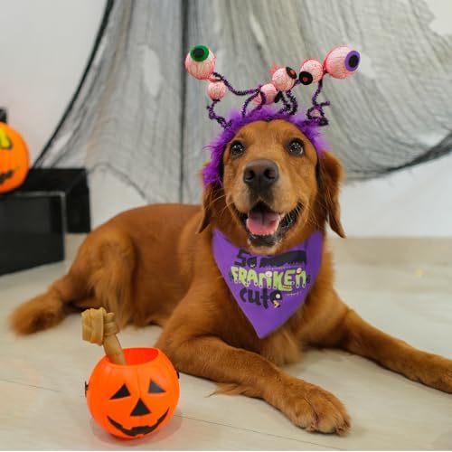 Halloween Dog Bandanas So Franken Cute Costumes for Small Pet - Image 2
