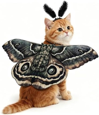 Dog Cat Moth Wings Halloween Costume with Feather Headband (Black) - Image 4