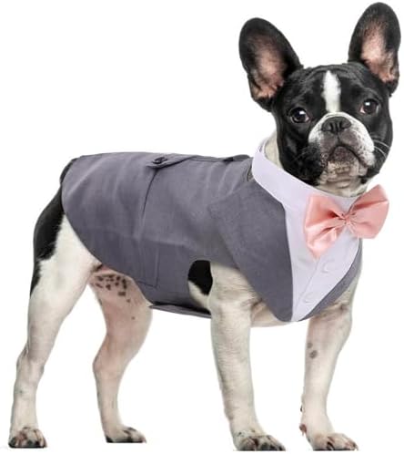 Dog Tuxedo for Small Dogs, Dog Suit and Bandana Set, Dog Costume Outfit by DoraBridal