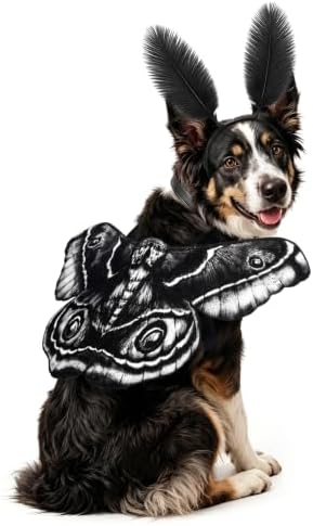 Tallew 2 Pcs Dog Halloween Costumes Moth Butterfly Wings,M,Black,White by Tallew
