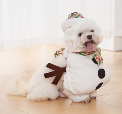 Pet Costume for Small Dogs Cats Halloween Hoodies Puppy Coat - Image 2