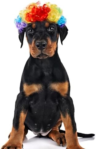 1pcs Funny Pets Wigs for Dog, Funny Rainbow Curly Dog Wig Adjustable Pet Wigs for Halloween Pet Cat Decoration Accessories for Halloween, Christmas, Parties Cosplay - Image 5