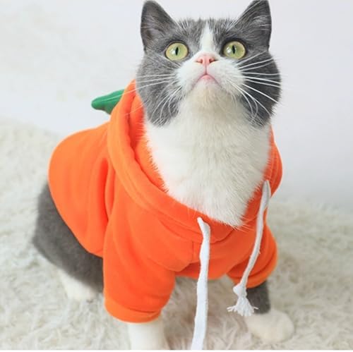 ANIAC Funny Pet Clothes for Small Dog Cat Carrot Dog Hoodies Warm Puppy Sweatshirt Coat with Fruit Hood Fall Cat Sweater Halloween Outfit Easter Dog Carrot Costume (Orange, X-Large) - Image 3