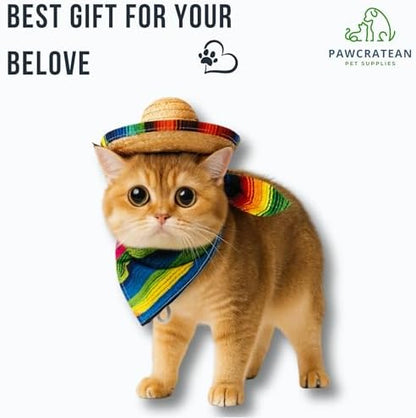 Pet Custom Dog Custom Cat Custom Hoodie, Sporty Look, Funny Gift, Halloween Holiday (Sombrero Set, One Size) - Image 6
