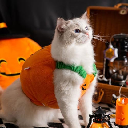 ANIAC Dog Pumpkin Costume Halloween Cat Pumpkin Outfit Funny Puppy Clothes for Small Dogs Pet Party Cosplay Accessories (Orange Clohes, Small) - Image 6