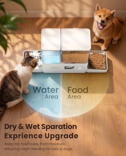 ROJECO Automatic Cat Feeder and Water Dispenser,8.5L Timed Cat Feeder