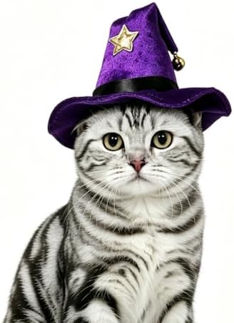 NAMSAN Pet Witch Costume for Cats Small Dogs Rabbits, Halloween Cat Wizard Hat, Small Dog Witch Hat, Halloween Cat Sorcerer Outfit for Holiday Party Cosplay Statue Decoration by Namsan