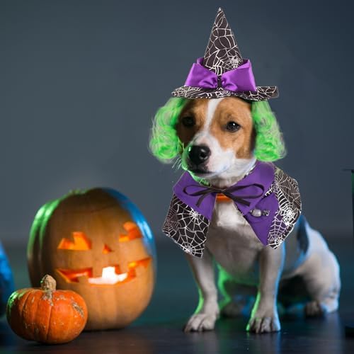 ADOGGYGO Halloween Dog Witch Costume, Purple Witch Wig Hat and Cape Set - Image 2