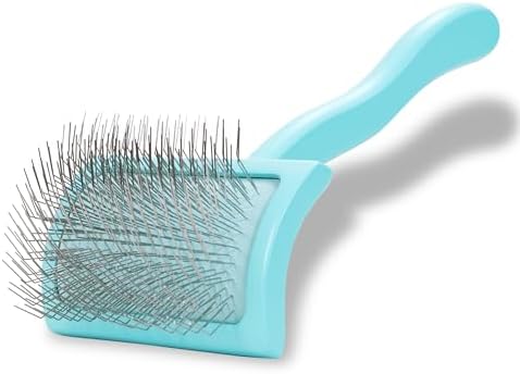 Chris Christensen Big G Dog Slicker Brush for Dogs (Goldendoodles, Labradoodles, Poodles), Groom Like a Professional, Fluff Detangle Style, Saves Time Energy, Teal, Medium by ChrisChristensen