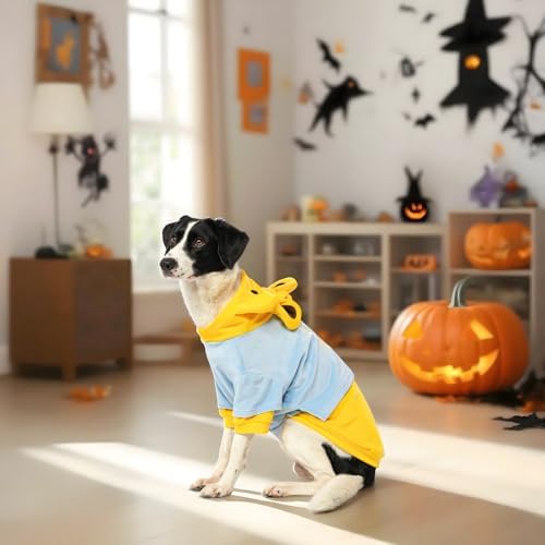 DELIFUR Dog Bear Costume for Halloween, Yellow, X-Large - Image 5