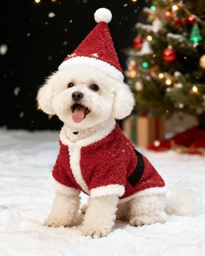CuteBone Christmas Dog Costumes for Small, Medium, Large Dogs – Santa Claus Pet Cosplay Outfits | Cute Puppy Costume for Holiday Party, Dress-Up, Photo Shoots GBZ05L - Image 5
