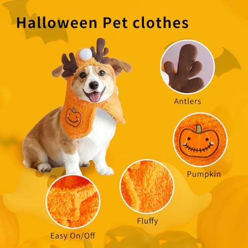Dog Halloween Costumes Pumpkin Cloak with Antlers, Cute Pet Costumes for Small Dogs Cats, Soft Fluffy Dog Costume Cat Clothes for Halloween Party, Easy On/Off Puppy Outfit, M - Image 3