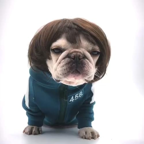 Funny Dog Cat Cosplay Wig,Pet Wigs for Halloween, Christmas, Parties, Festivals, Dog Wigs for Small Medium and Large Dogs （Black Brown Straight） - Image 5