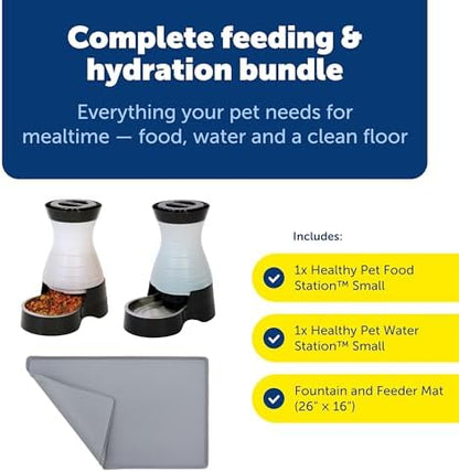 PetSafe Healthy Pet Food & Water Station, Small, 2 lb Food, 64 oz Water