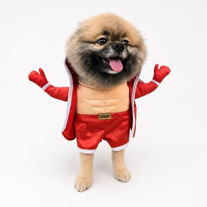 Muscular Boxer Pet Halloween Costume with Hooded Robe - Small to Medium-Large Breed Funny Clothes Outfit Apparel (Medium) - Image 4
