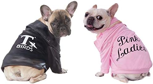 Rubies at Party City Grease: T-Birds Pet Costume for for Dogs or Cats, Large - Image 6