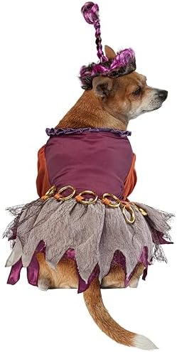Rubies Disney Hocus Pocus Mary Sanderson Pet Costume and Wig - Image 4