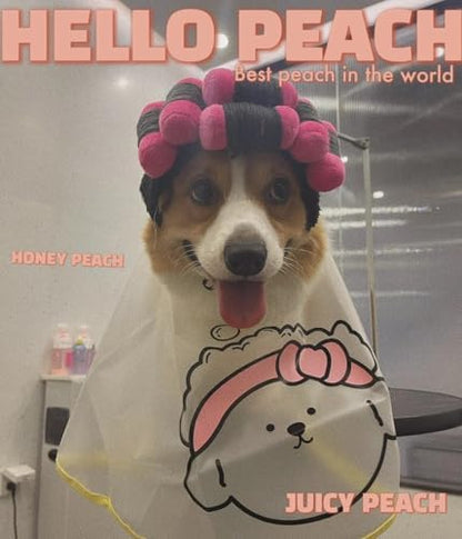 Spa Day Dog Costume Cosplay Wig, Curly Hair Pet Cat Wigs for Halloween Parties Dog Hats Wigs for Small Medium and Large Dogs Adjustable(Pet Head Circumference 8-27 inches) - Image 3