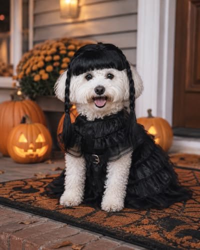 Dog Halloween Costume with Braided Wig, Gothic Black Tulle Dress and Belt Set for Small Medium Dogs, Creepy Cute Pet Cosplay Outfit for Puppy Cats, Spooky Party Apparel - Image 5