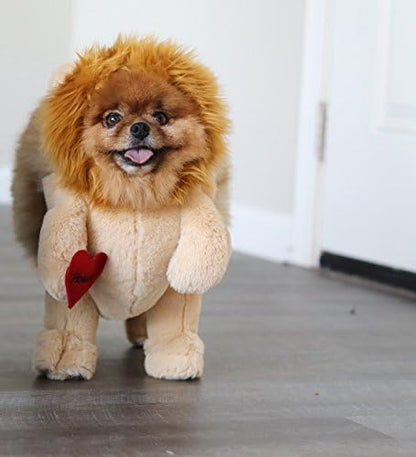 Pandaloon Dog Halloween Costume - As Seen on Shark Tank - Patented - Funny Costume with Arms for Small and Medium Dogs and Cats (Lion, Size 1(13-14 in Height at TOP of Head,Girth<16 in)) - Image 2