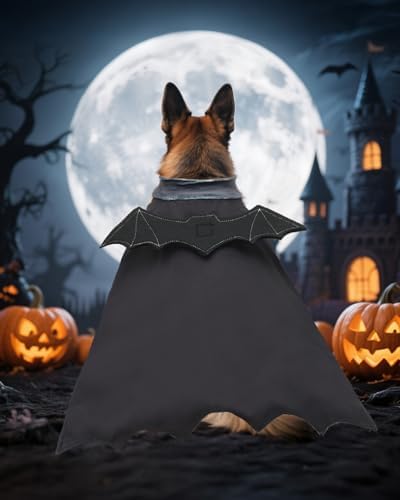 CuteBone Dog Halloween Costumes for Small, Medium, Large Dogs – Batman Pet Cosplay Outfits | Cute Puppy Costume for Halloween Party, Dress-Up, Photo Shoots GBZ02-3XL - Image 4