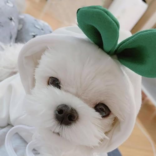 Dog Hoodie Warm Autumn Winter Pet Sweatshirt White Radish Hoodie, M - Image 2