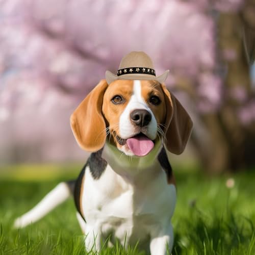 choyaxo Pet Cowboy Costume Cosplay Cap Halloween Costumes for Dogs Cat Pet Party Decoration Mini Cowboy Hat (Khaki, Medium) - Image 6