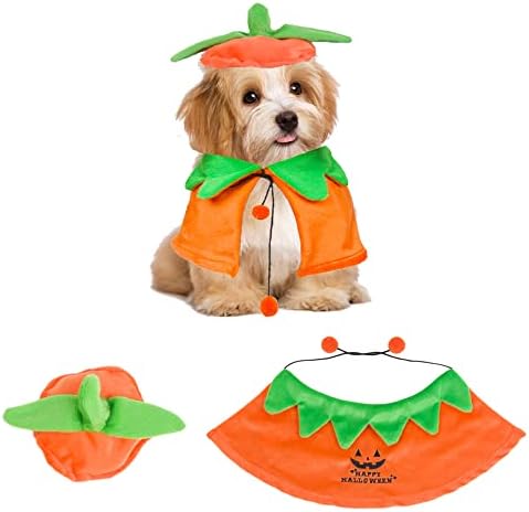 ADOGGYGO Halloween Pumpkin Dog Costume, Orange Dog Pumpkin Hat Cloak Set by ADOGGYGO