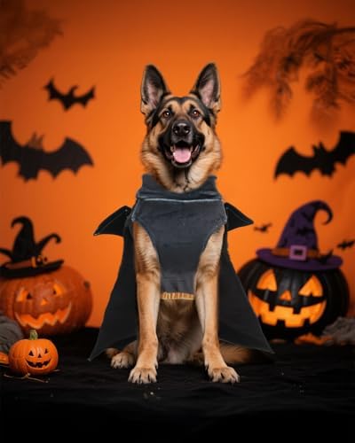 CuteBone Dog Halloween Costumes for Small, Medium, Large Dogs – Batman Pet Cosplay Outfits | Cute Puppy Costume for Halloween Party, Dress-Up, Photo Shoots GBZ02XXL - Image 5