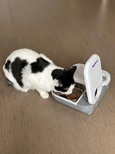 Closer Pets 2-Meal Automatic Feeder, 400g Per Bowl, Wet & Dry Food, White
