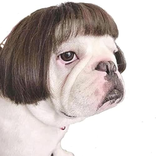 Funny Dog Cat Cosplay Wig,Pet Wigs for Halloween, Christmas, Parties, Festivals, Dog Wigs for Small Medium and Large Dogs （Black Brown Straight） by Unknown