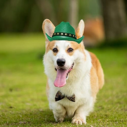 choyaxo Pet Cowboy Costume Cosplay Cap Halloween Costumes for Dogs Cat Pet Party Decoration Mini Cowboy Hat (Green, Small) - Image 6