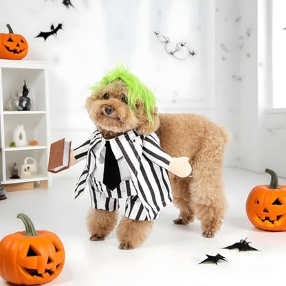 DELIFUR Dog Halloween Funny Costume - Pet Adorable Fantacy Clothes Cat Cosplay Apparel Dress Up for Small Medium Dog Funny Outfit Adjustable (Suit, Medium) - Image 4
