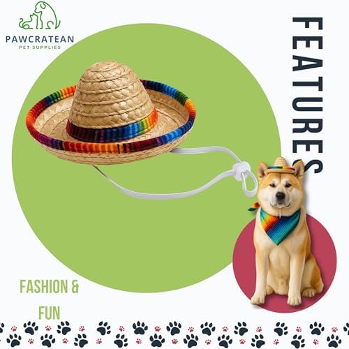 Pet Custom Dog Custom Cat Custom Hoodie, Sporty Look, Funny Gift, Halloween Holiday (Sombrero Set, One Size) - Image 4