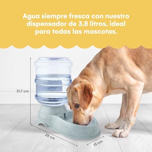 Automatic 1-Gallon Pet Feeder, Easy to Clean, Supports Multiple Pets, Ideal for Cats and Dogs