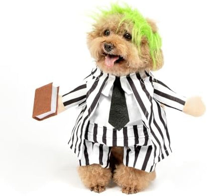 DELIFUR Dog Halloween Funny Costume - Pet Adorable Fantacy Clothes Cat Cosplay Apparel Dress Up for Cat and Small Dog Funny Outfit Adjustable (Suit, X-Small) by DELIFUR