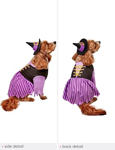 Rubies Witch Pet Costume for Dogs or Cats, Large - Image 3