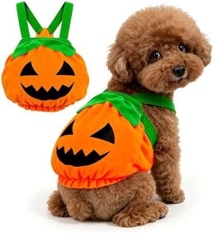Dog Cat Halloween Pumpkin Costume Cute Festive Outfit for Small Dogs & Cats by TENGZHI