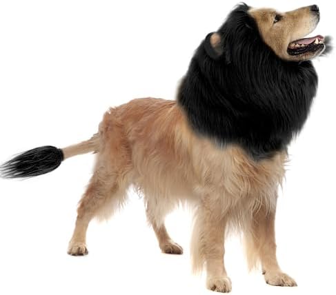 Lion Mane Dog Costume for Medium & Large Dogs - Realistic Lion Wig - Black - Size M + Tail Set by HOKABLE