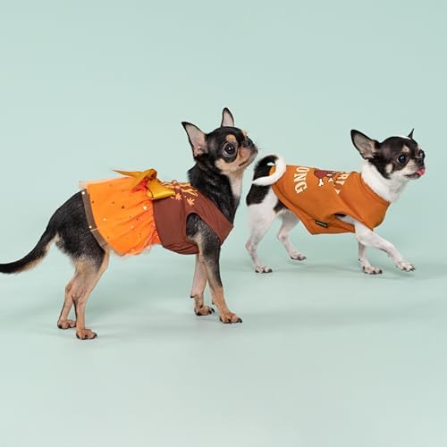 Fitwarm Thanksgiving Fall in Love Dog Dress, Sparkly Dog Clothes for Small Dogs Girl, Holiday Pet Tutu Dress, Cat Outfit, Brown, Orange, Small - Image 4