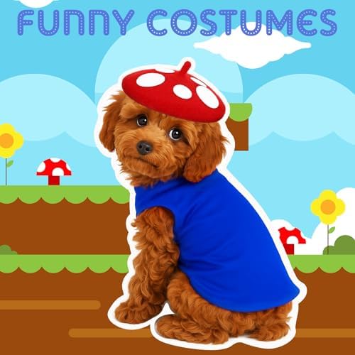 Halloween Mushroom Dog Costume Set, Mushroom Hat and Blue Vest - Image 5