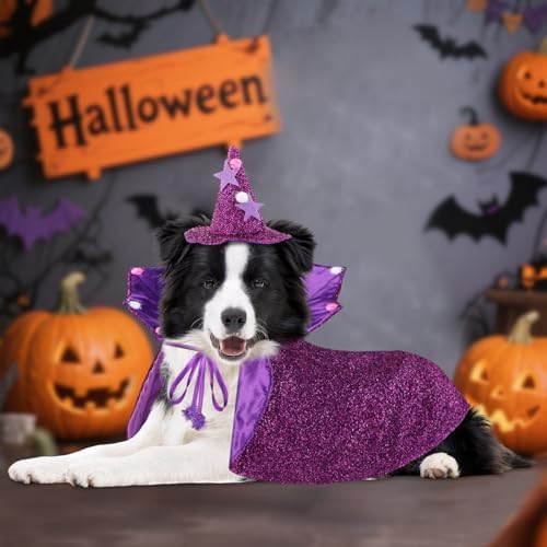 JOICEE Halloween Dog Costume, Witch Hat with Cape Set for Small Medium Dog - Image 7