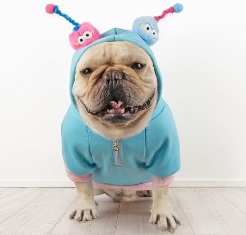 Funny Halloween Dog Costume French Bulldog Sweater - Image 3