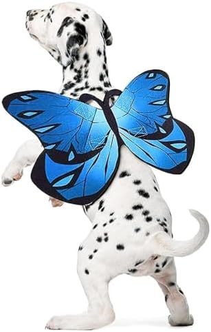 Butterfly Wings Costume for Small to Large Dogs & Cats - Halloween - Image 5